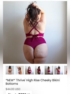 The Cheeky Bikini - 2xl /3xl / mulberry